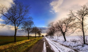 Winter-Spring_Wallpaper_niopo1-679x400