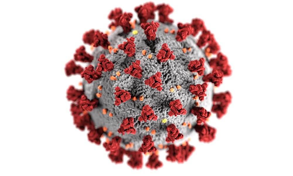 coronavirus-image